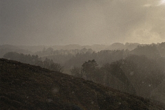 web-ravnregn
