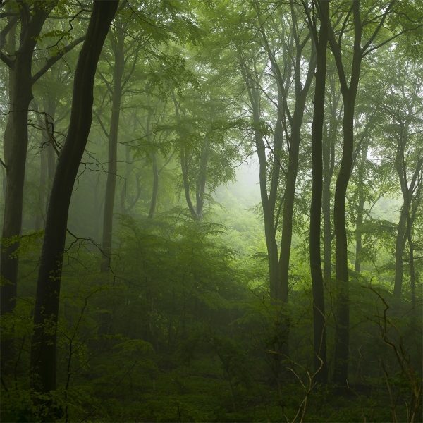 web-Klinteskov-sq-1-A4