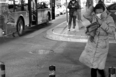 soil-changchun-str-sh-kopier