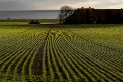 20-DSC_2700-sq-fix-kopier