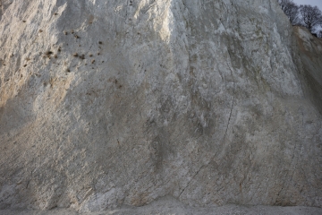 L1000385