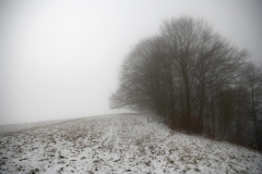 120-DSC_7611